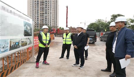 覃振華到重慶在建項目調研指導